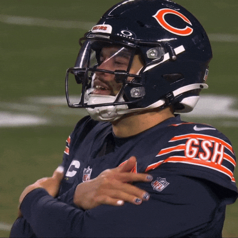Bears GIF